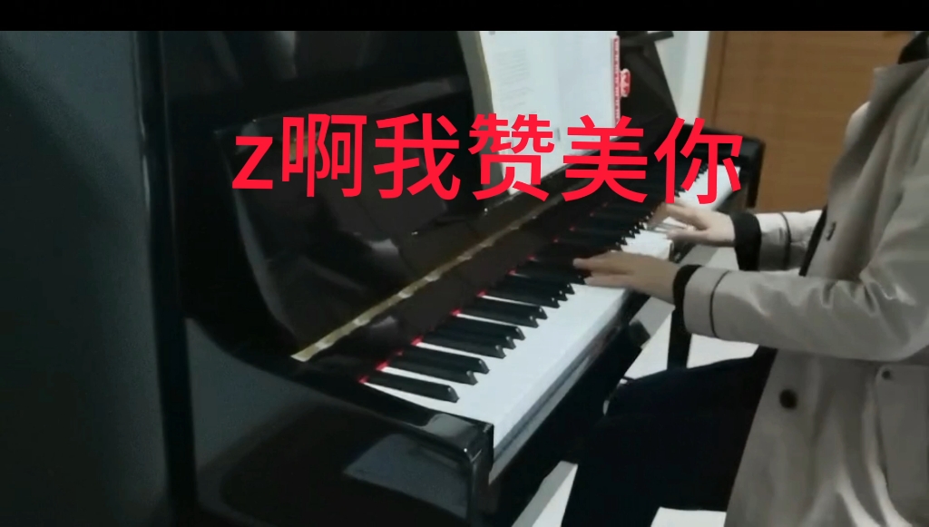 z啊我赞美你哔哩哔哩bilibili