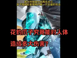 Video herunterladen: 花豹爪子究竟能对人体造成多大伤害？