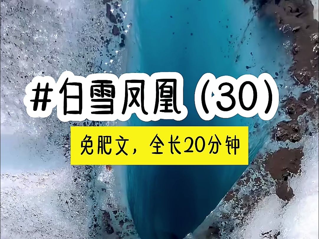 [图]茗《白雪凤凰》第30集