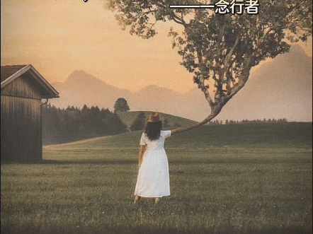 一念行者——无念