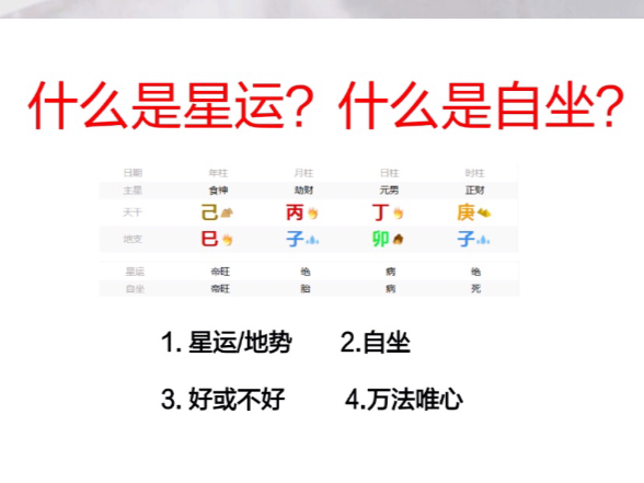 八字排盘怎么看?什么是星运,什么是自坐?哔哩哔哩bilibili