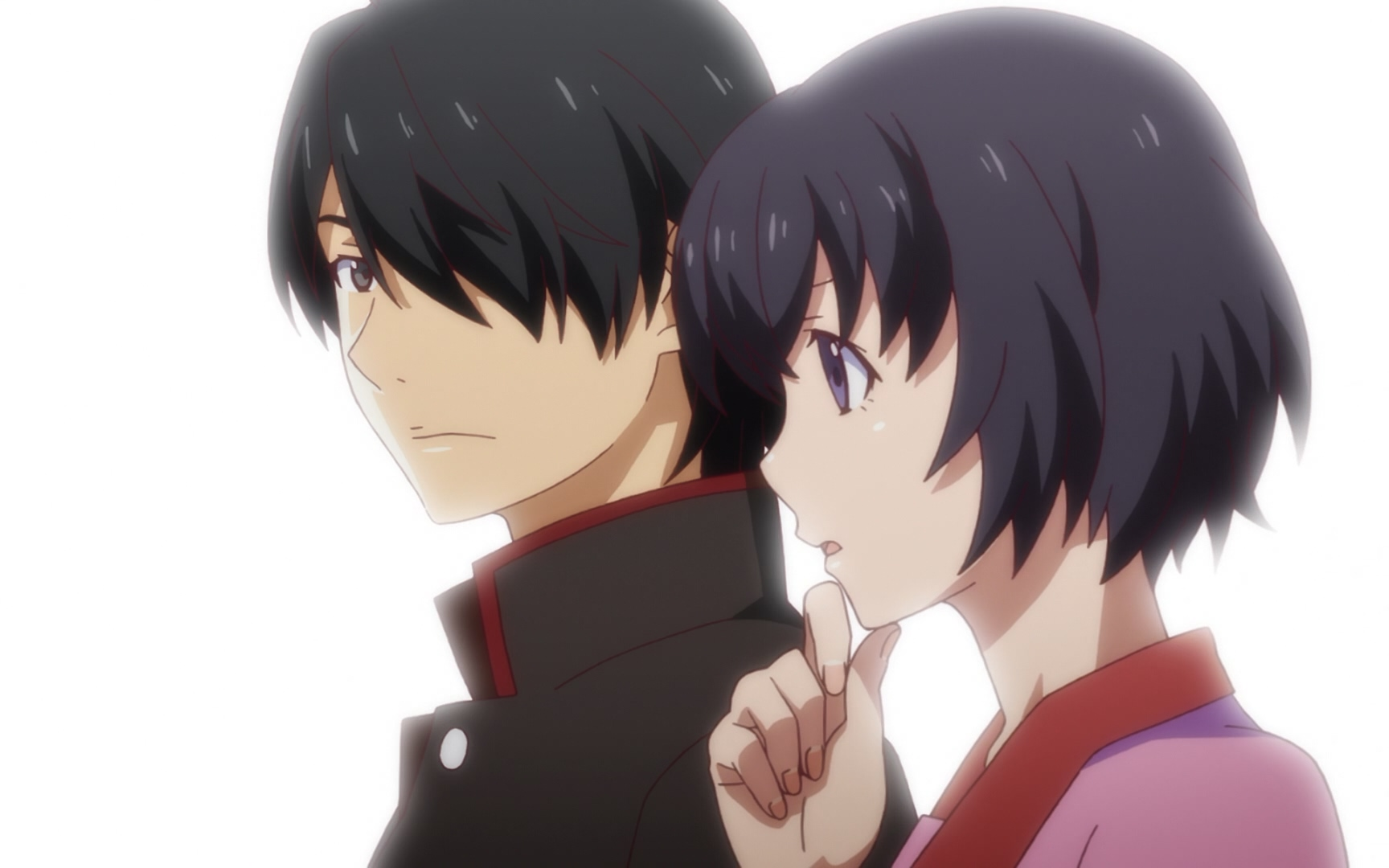 【原盘】终物语第一季opanded合集 含nc【opanded君】