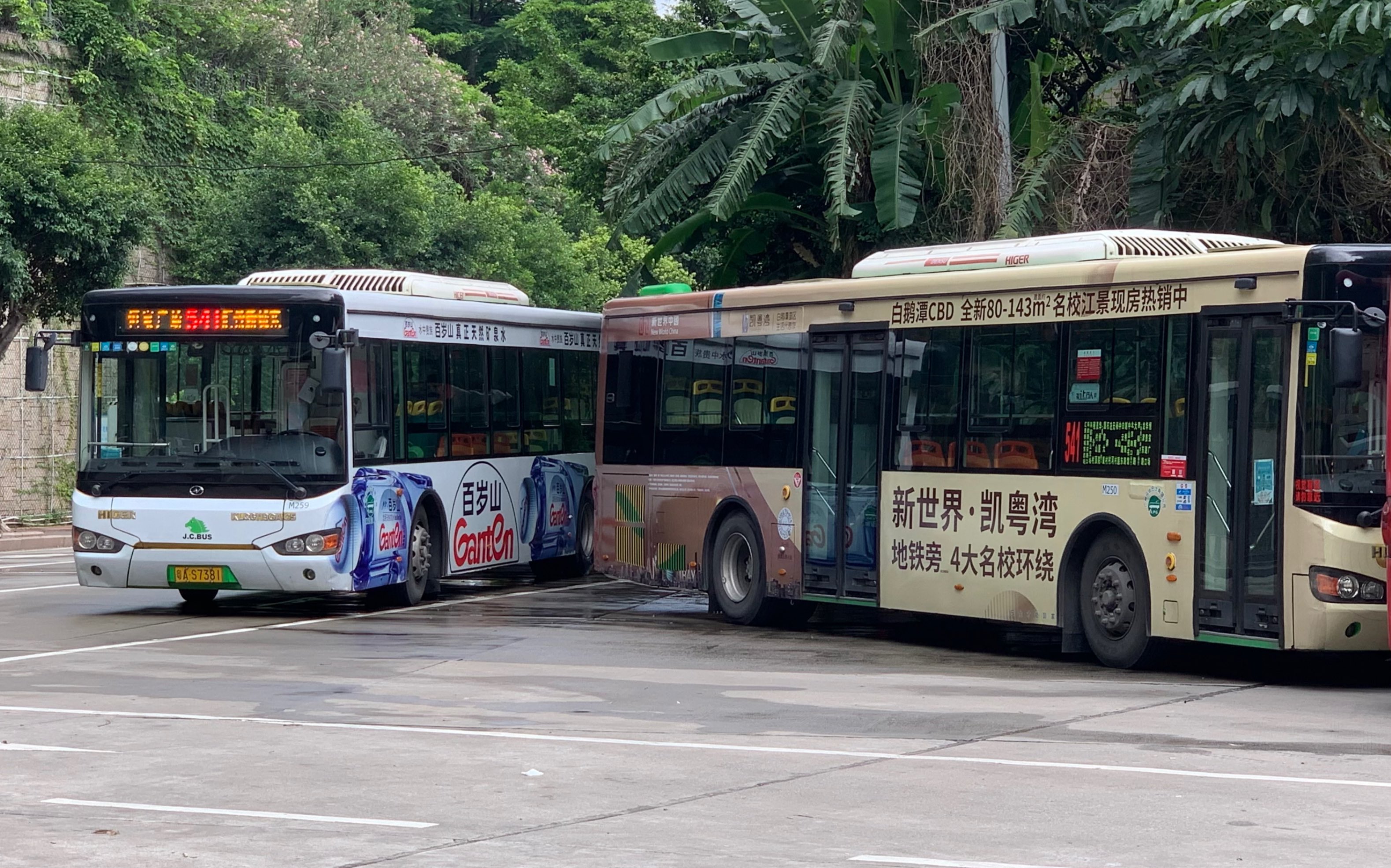 【pov#21·驰骋于广州城区的落后动力】马会巴士541路(汇景新城东总站