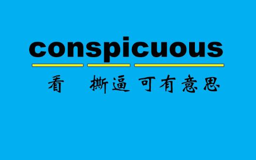 【四六级】conspicuous :adj.显眼的,醒目的,显着的哔哩哔哩bilibili