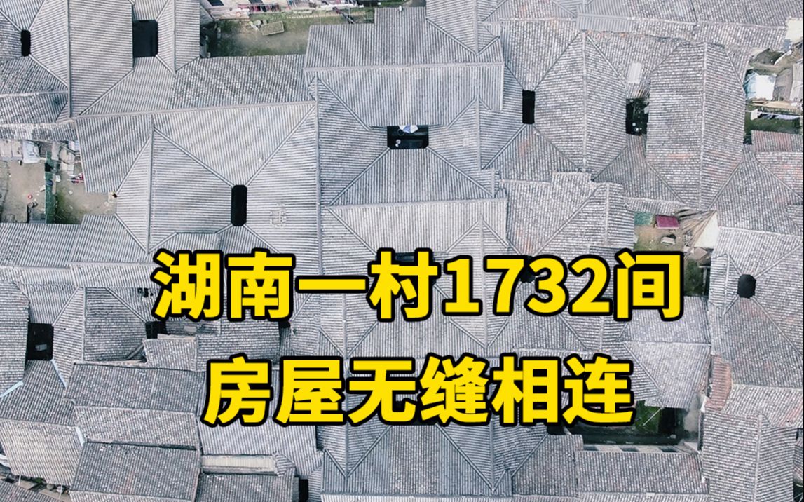 真ⷮŠ同住一个屋檐下!湖南一村1732间房屋无缝相连哔哩哔哩bilibili