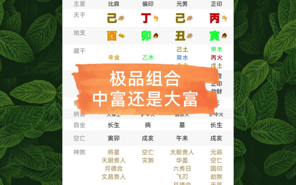 极品组合,中富还是大富哔哩哔哩bilibili