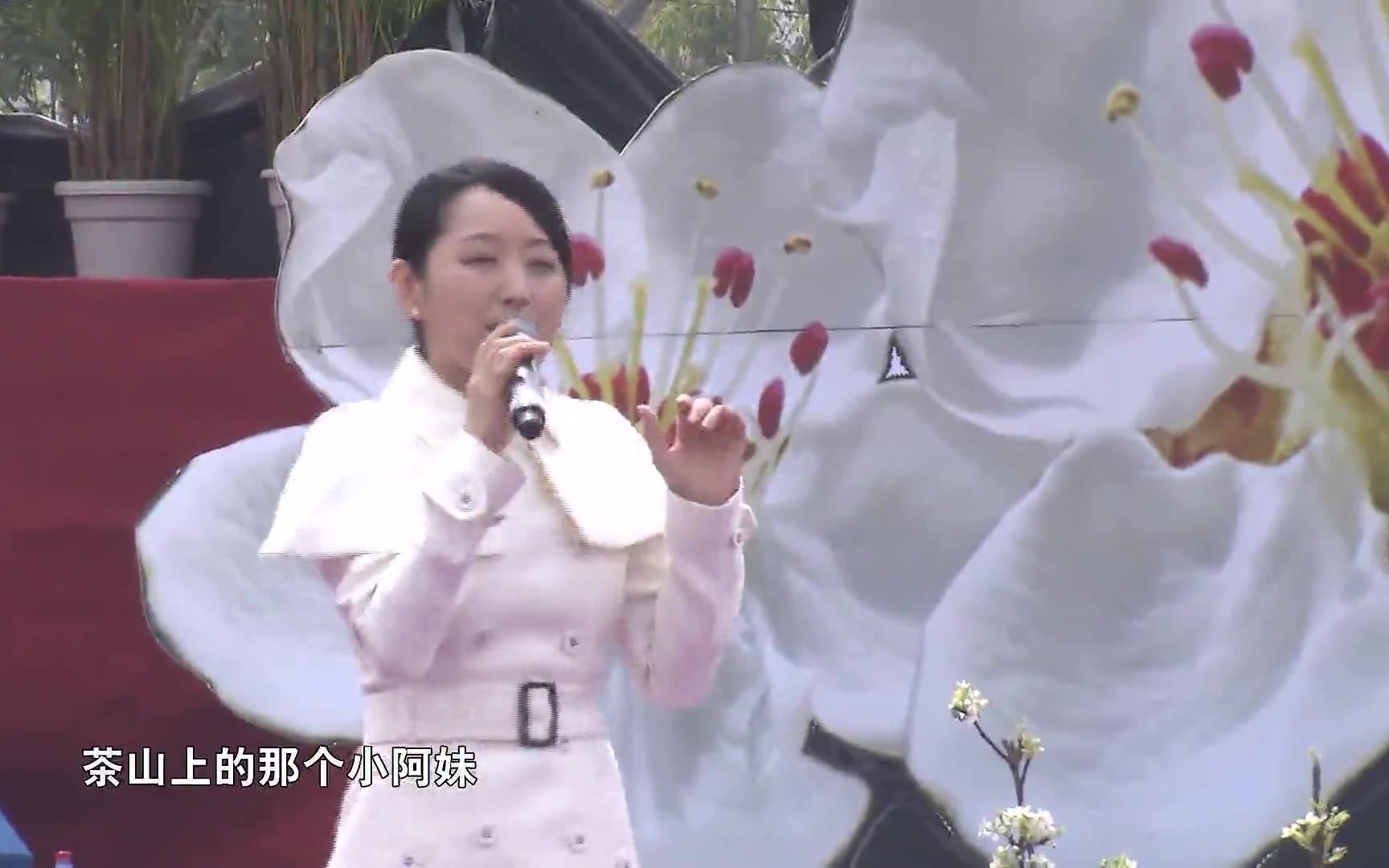 [图]20130318四川广元苍溪第十一届梨花节大型演唱会-杨钰莹《茶山情歌+轻轻地告诉你》现场版