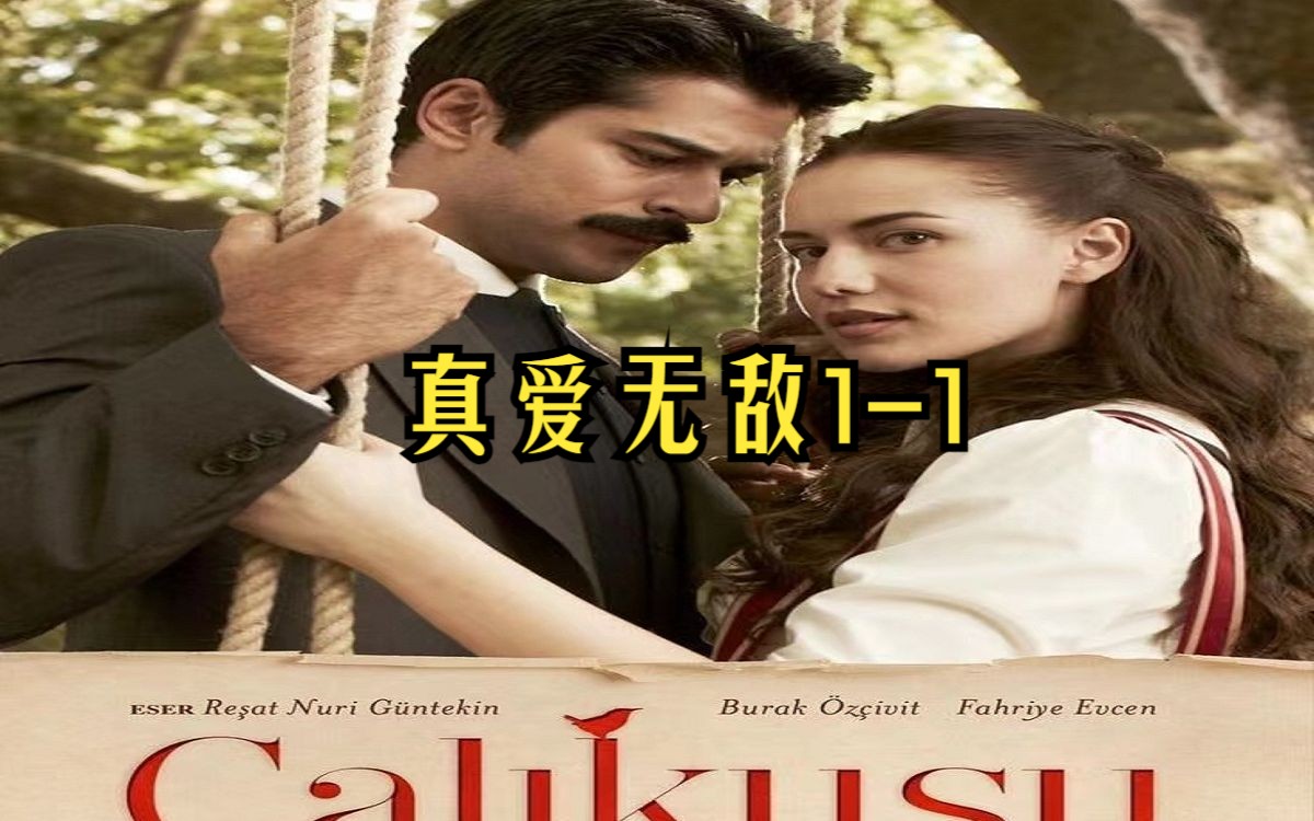 【第1集中字】土耳其剧:真爱无敌1-1