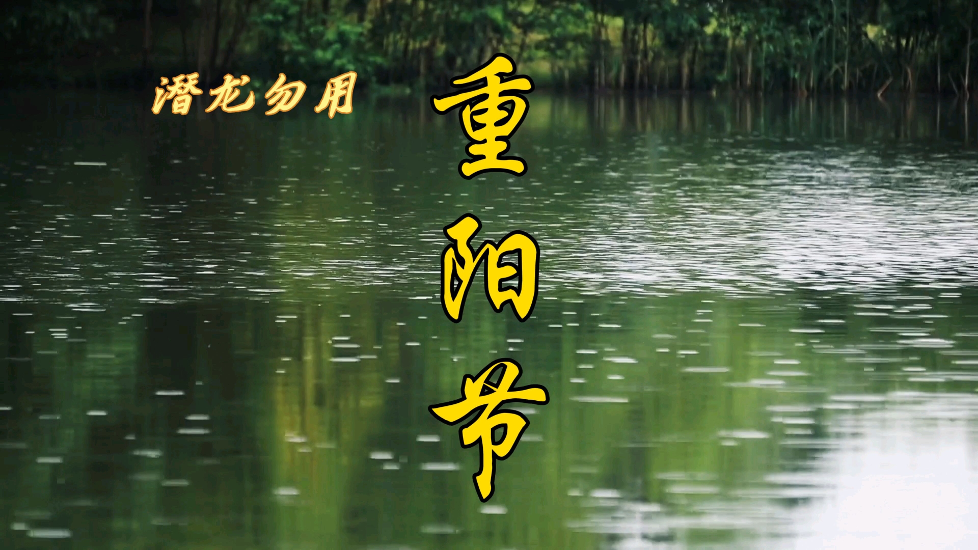 重阳节。九在易经中为阳数，九九两阳相重故曰重阳。重阳是一年中阳气最盛的一天。