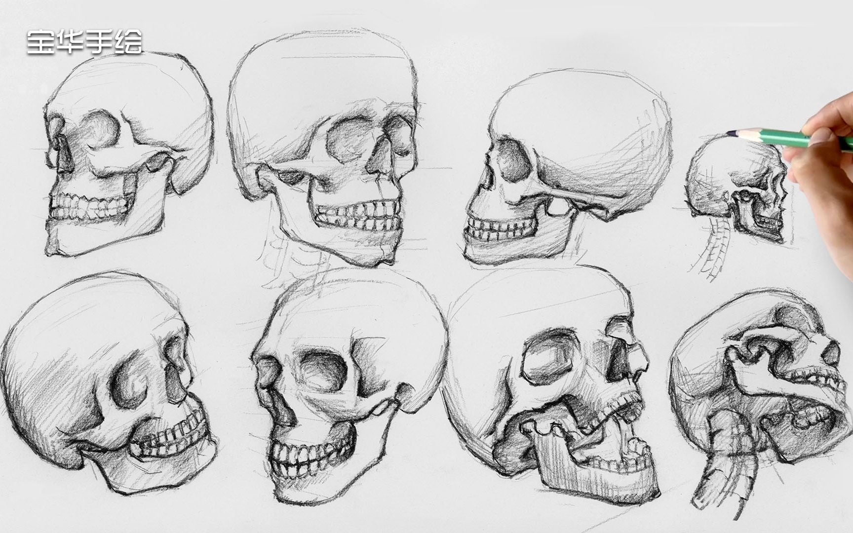 8个不同角度的头骨手绘美术生学画画请看