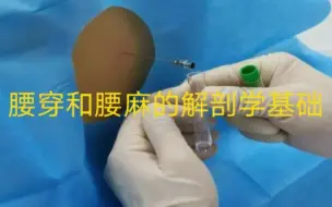 人体局部解剖学-腰穿和腰麻的解剖学基础