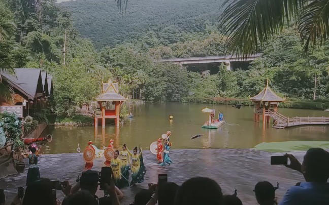 [图]西双版纳热带雨林孔雀放飞秀