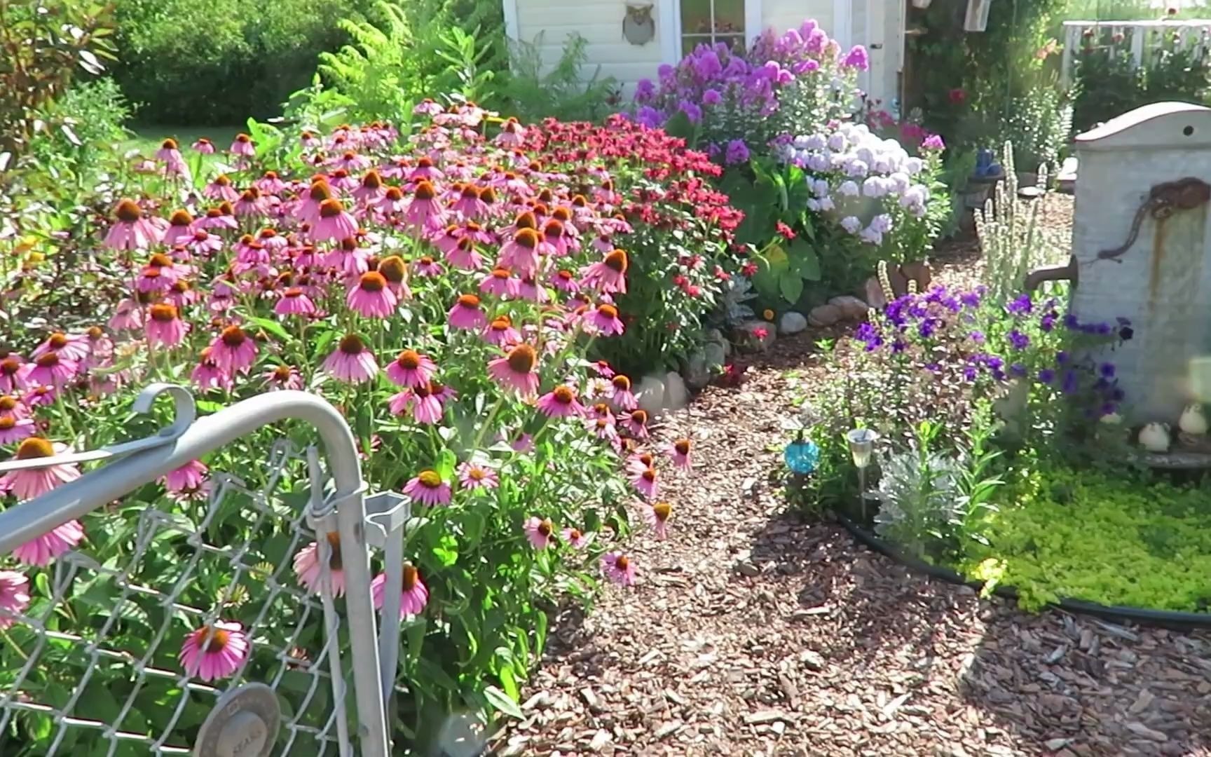 [图]英国花园丨乡村自然风 Midsummer Cottage Garden