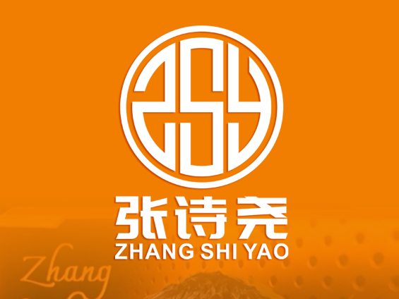 为青海摇创始人张诗尧设计专属LOGO(ZSY)哔哩哔哩bilibili