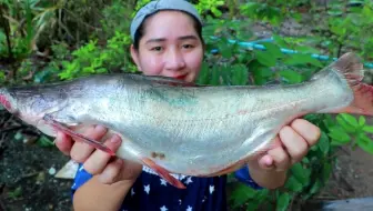 柬埔寨小姐姐美味博氏巨鲶 巴沙鱼 多利鱼 姜丝酱豆烹饪 哔哩哔哩 Bilibili