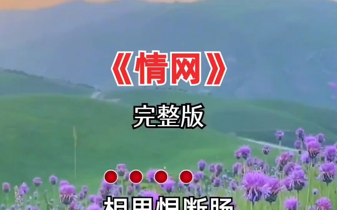 经典歌曲 情网 完整版 音乐分享