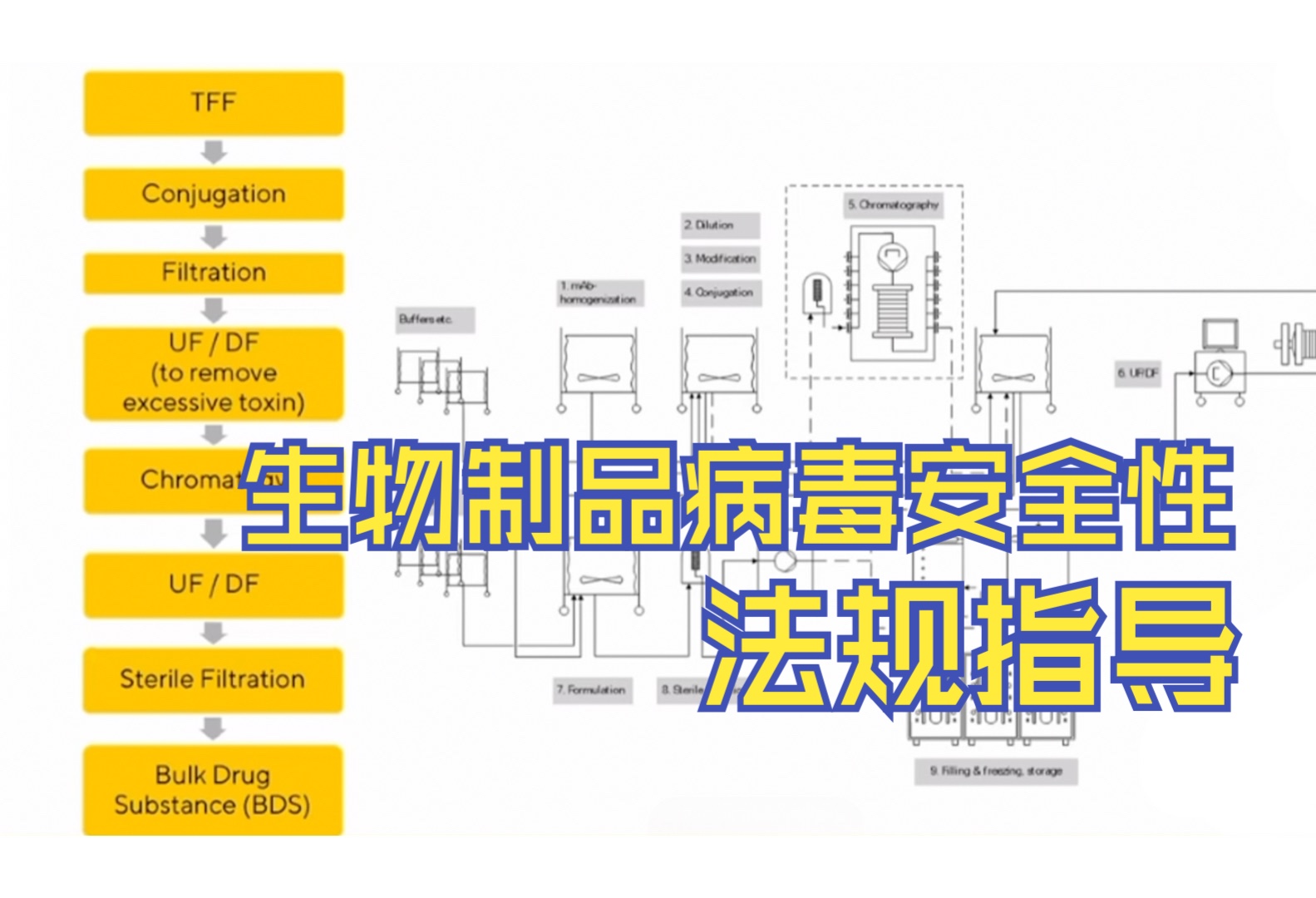 生物制品病毒安全性控制的指导法规有哪些内容?哔哩哔哩bilibili