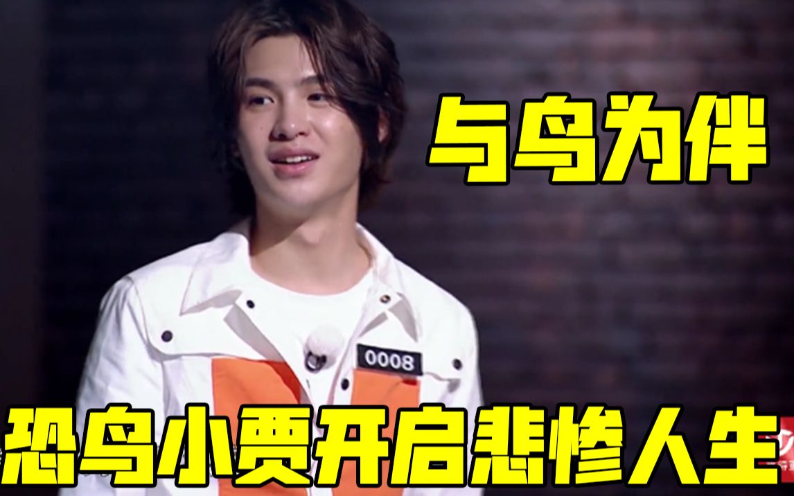 奔跑吧恐鸟贾斯汀开启悲惨人生与鸟为伴