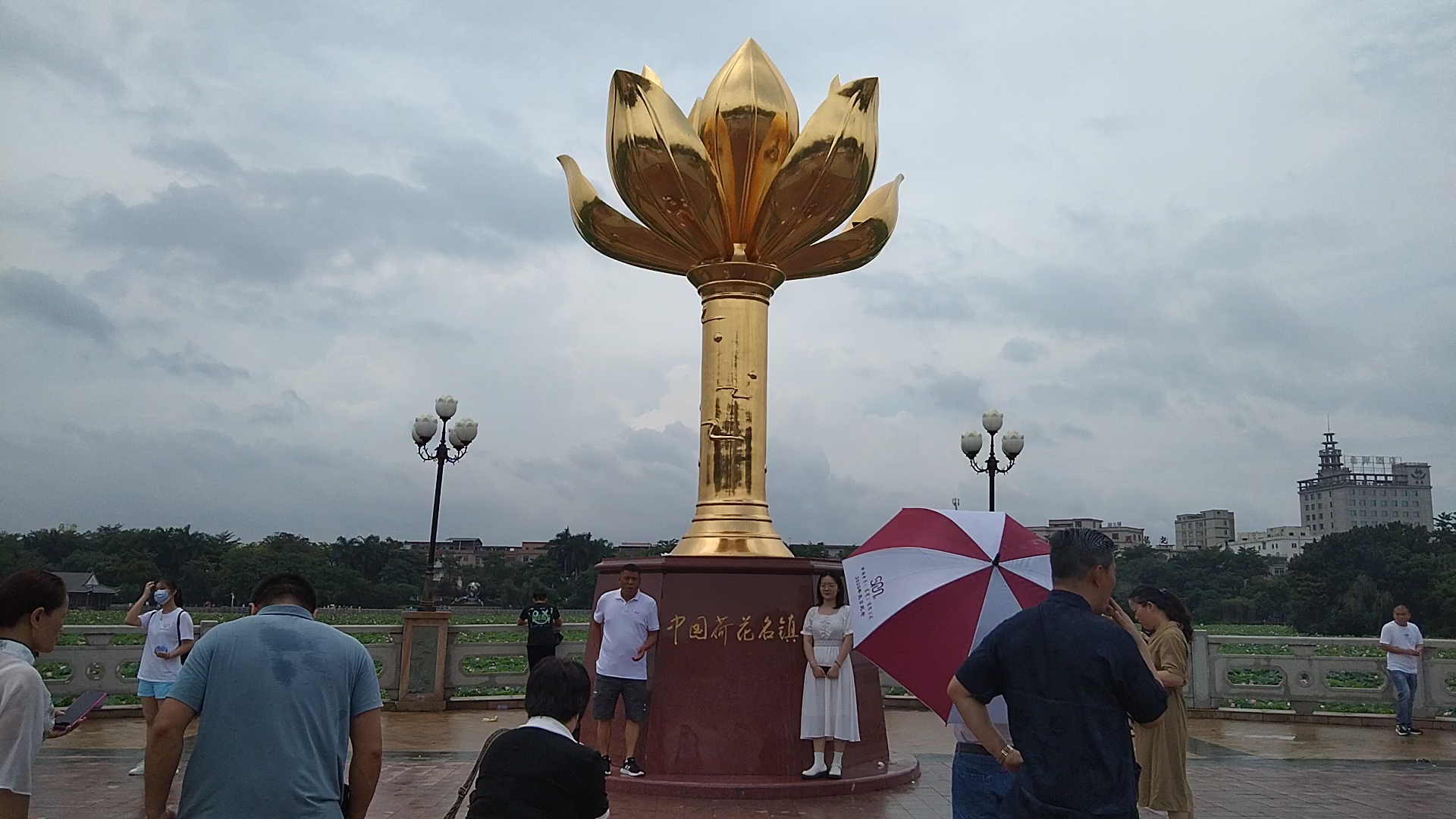 东莞桥头镇融入十几万人赏荷花,莲湖公园人山人海!