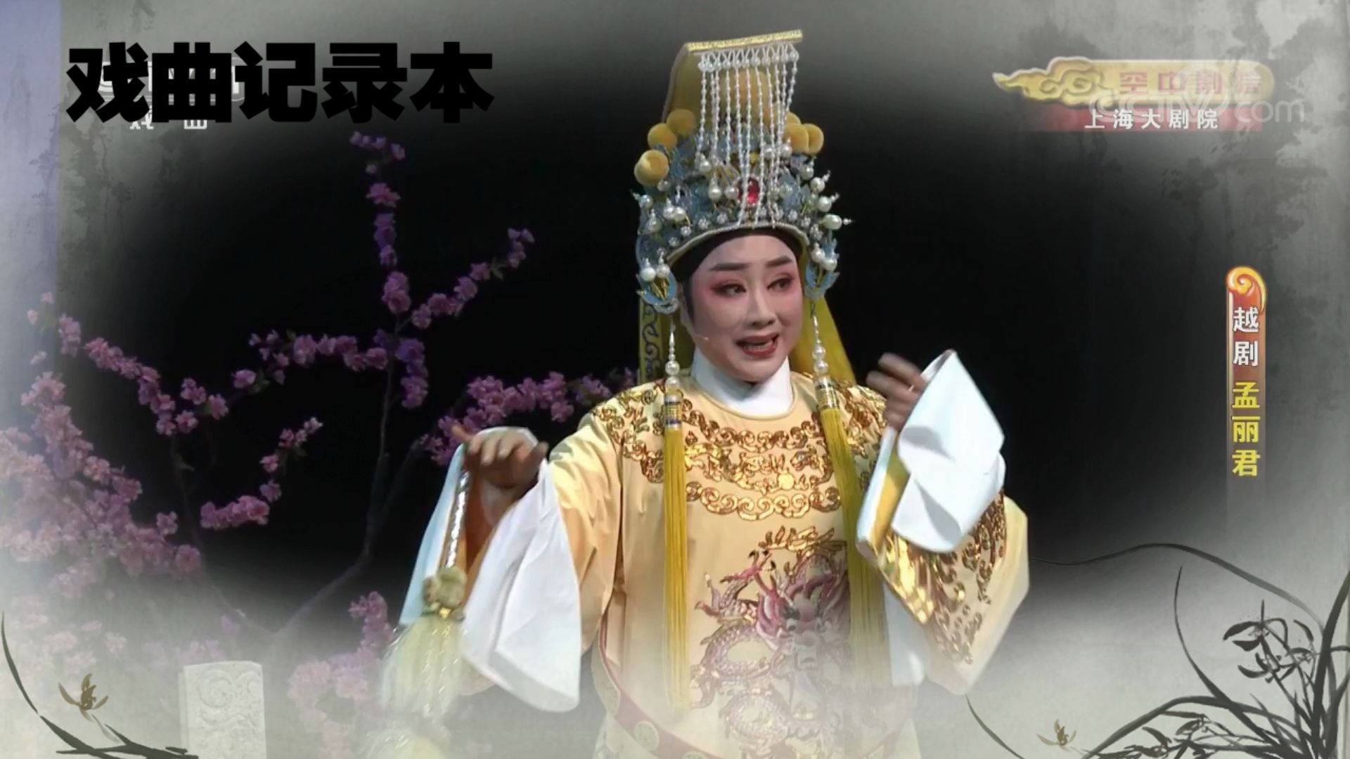 戏曲记录本越剧孟丽君游上林挥舞柳梢飞珠洒郑国凤单仰萍舞台版a