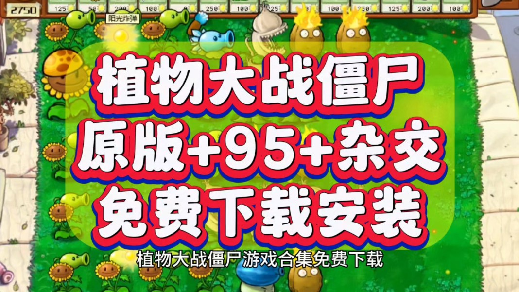 植物大战僵尸原版 杂交版 95版下载安装!附带游戏安装包连接!