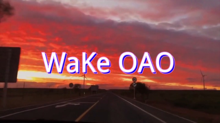 [图]国产优质电音WaKe OAO完整版