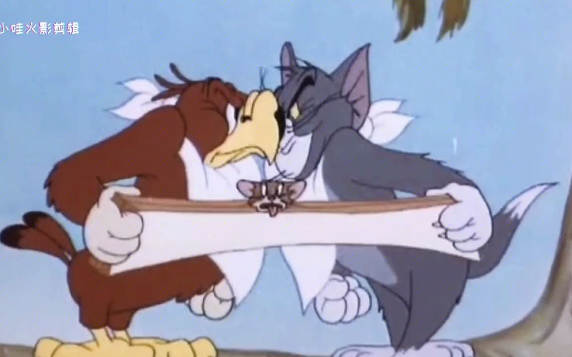 火影猫鼠,秃鹰忍者