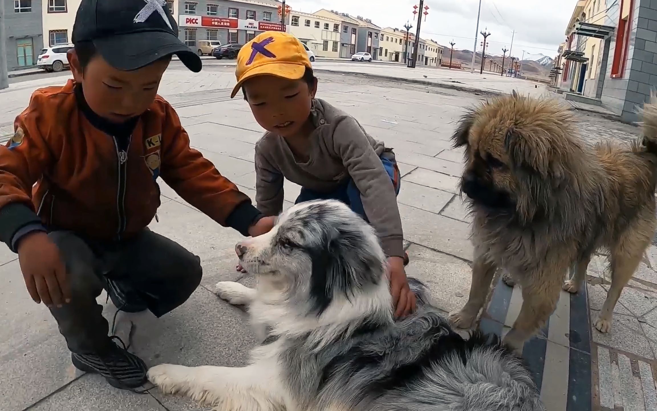 两个同行的伙伴还没到拉萨却都离开了,接下来又要一个人进入西藏哔哩哔哩bilibili