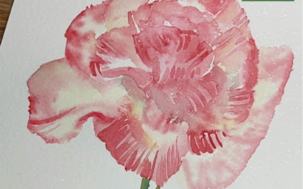 水彩康乃馨