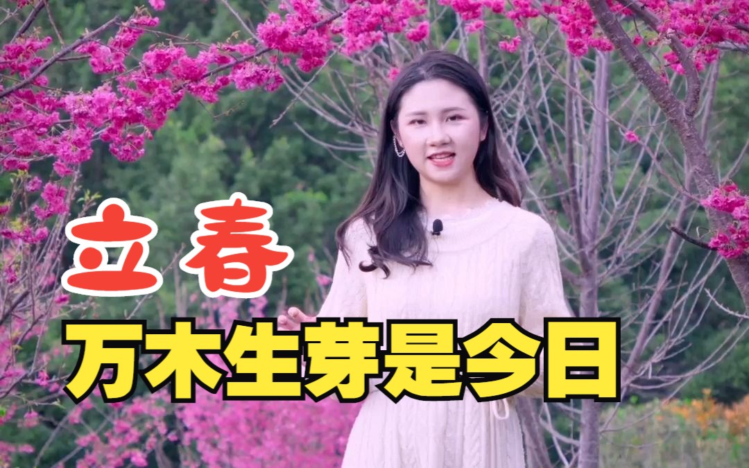 立春:一二三四五六七,万木生芽是今日哔哩哔哩bilibili