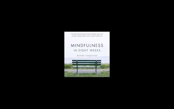 【Michael Chaskalson Mindfulness】1. The Raisin Exercise哔哩哔哩bilibili