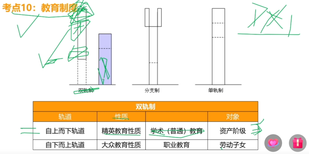 [图]教育制度——双轨制，单轨制，分支型学制