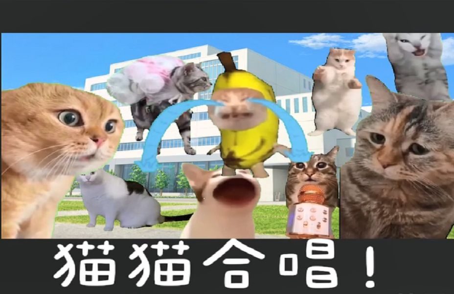 【猫meme】1分钟学会全网火爆的猫咪视频保姆级制作教程,有手就能做!哔哩哔哩bilibili