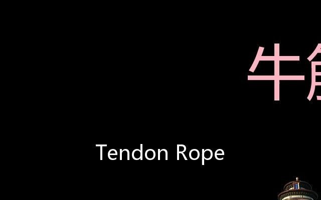 牛筋绳 Chinese Pronunciation Tendon rope哔哩哔哩bilibili