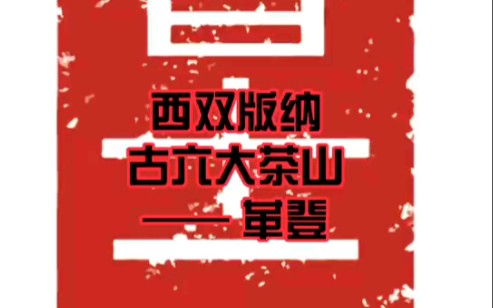 [普十二]西双版纳古六大茶山——革登哔哩哔哩bilibili