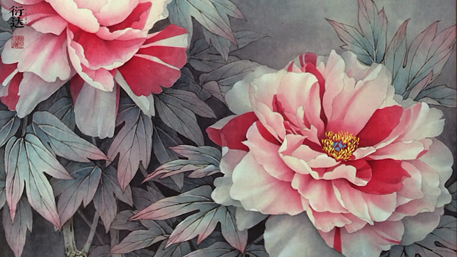 【工笔画】灰调牡丹,冷冷的看着很温暖【传统工笔画筑基系列】—又该