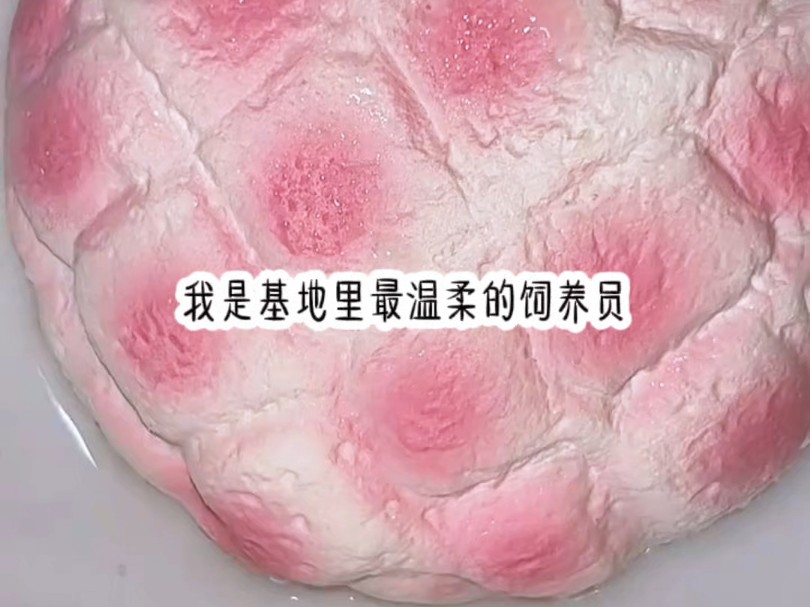 【小九生情】我是基地最温柔的饲养员,我饲养的生物总是特别乖巧听话,可我看不到的是,背后那些生物们深爱眷恋的目光,直到一场意外哔哩哔哩bilibili