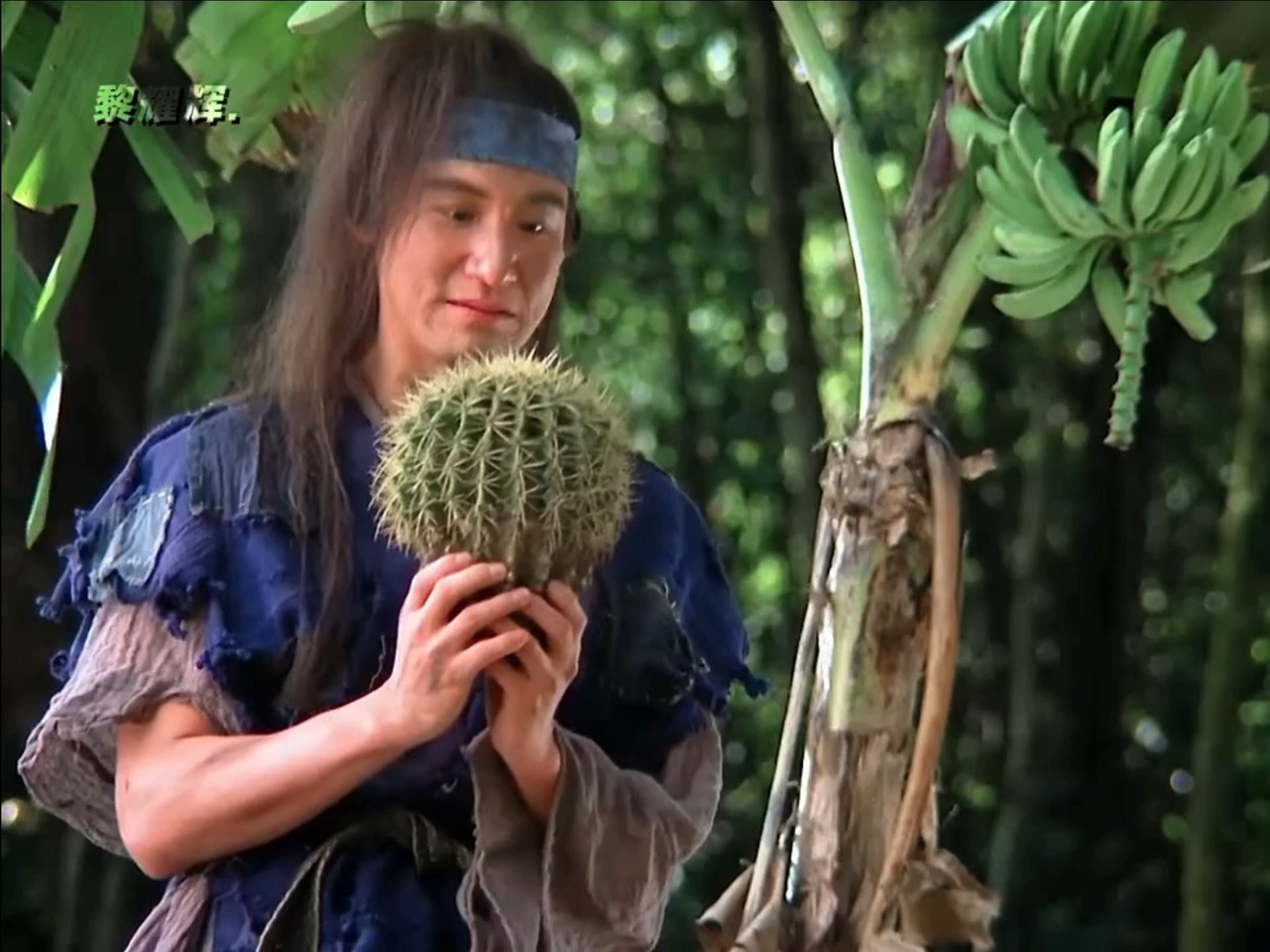 "明枪暗箭都伤不了你"