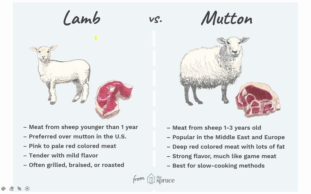 mutton】羊肉与羊肉的英语辨析 究竟我们吃的烤羊肉是哪个羊肉 英语