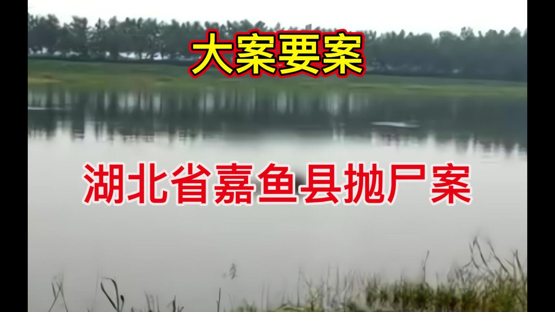 大案要案:湖北省嘉鱼县杀人抛尸案(请看到最后,死者很像一个明星)哔哩哔哩bilibili