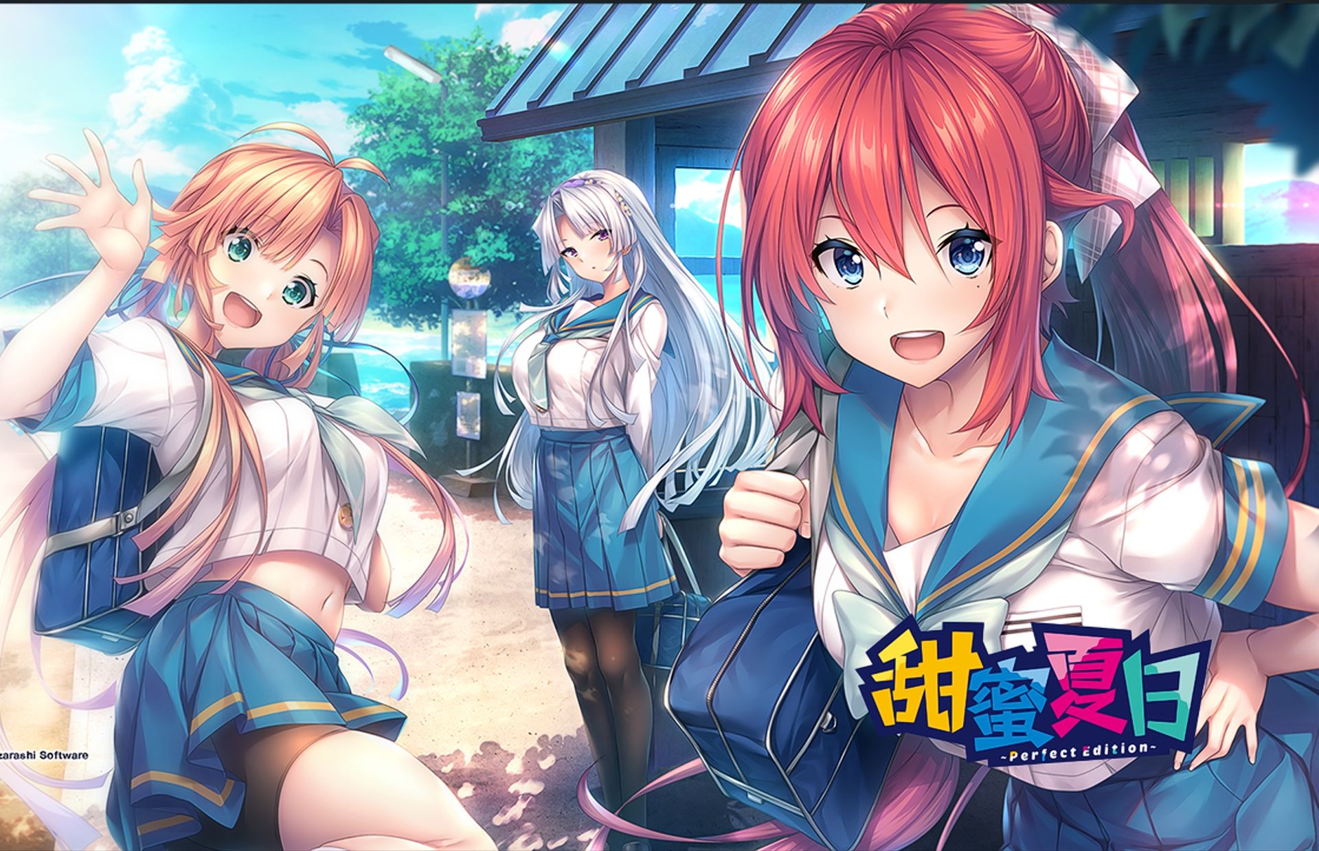 【adv/steam官中/新发售】甜蜜夏日 有点甜蜜女友的感觉~perfect