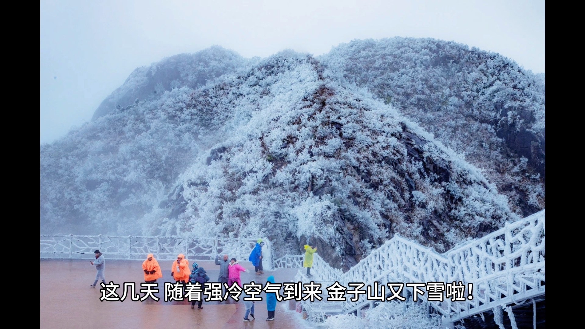 [图]谁说广东不下雪？寒潮来了，清远金子山雪景好靓