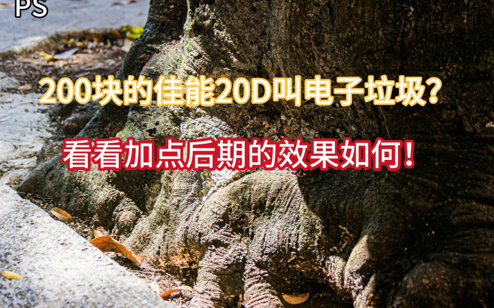 都说200块20年前的佳能20D是电子垃圾,看这照片原片和后期的区别吧哔哩哔哩bilibili