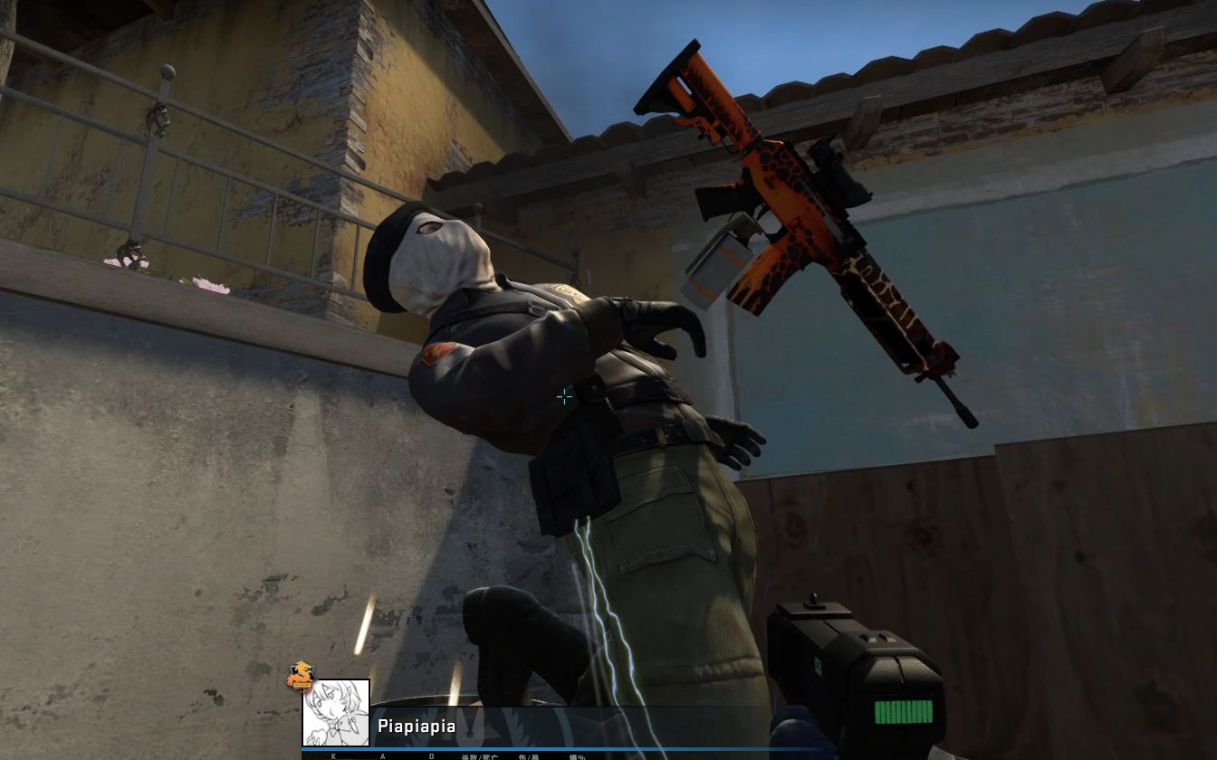 【csgo】真不辍 电击枪电到人真不辍 #4