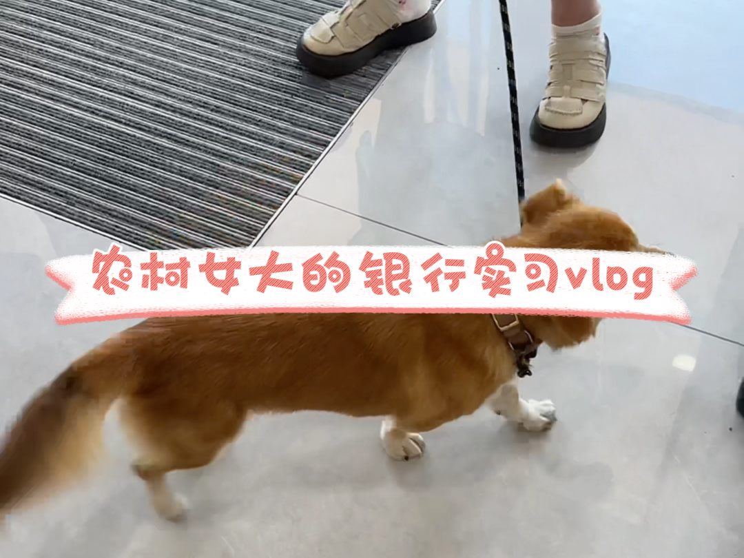 银行实习vlog|day4哔哩哔哩bilibili