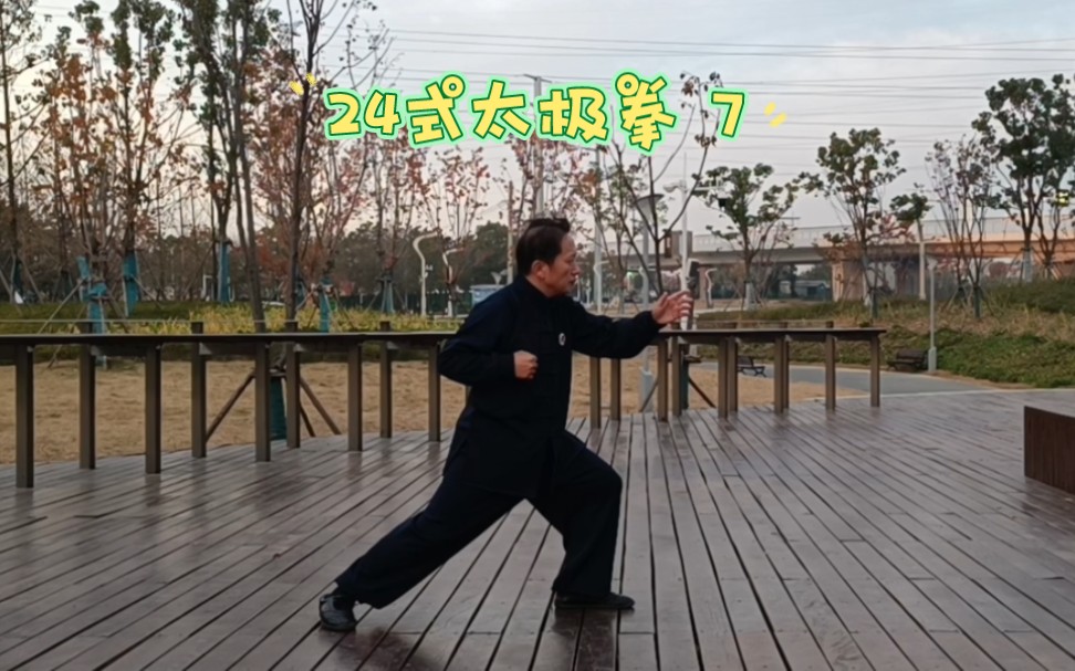 27式太极拳 7 20-24式