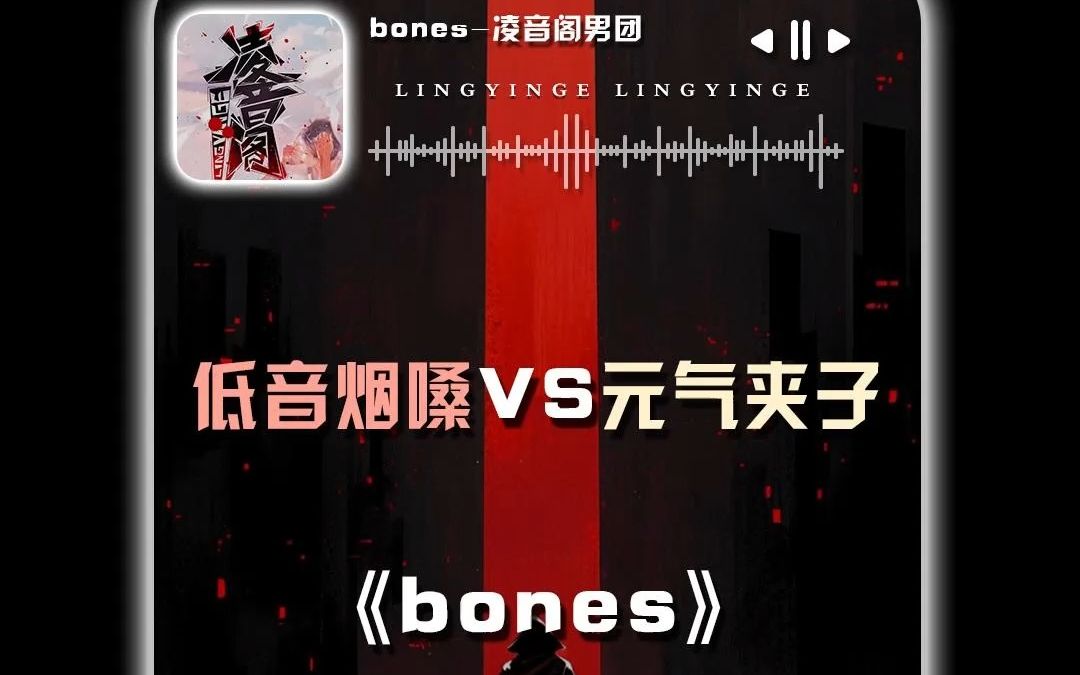 bones哔哩哔哩bilibili