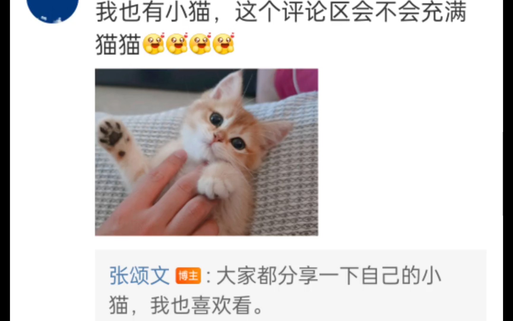 颂文老师也喜欢小猫猫呀,好可爱的回复哔哩哔哩bilibili