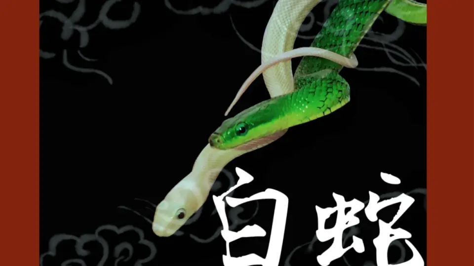 青蛇白蛇_哔哩哔哩_bilibili