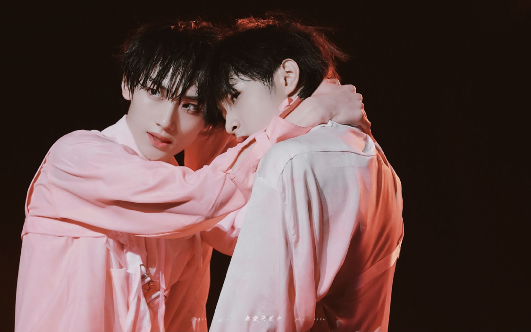 【文鑫/完年】玫瑰少年